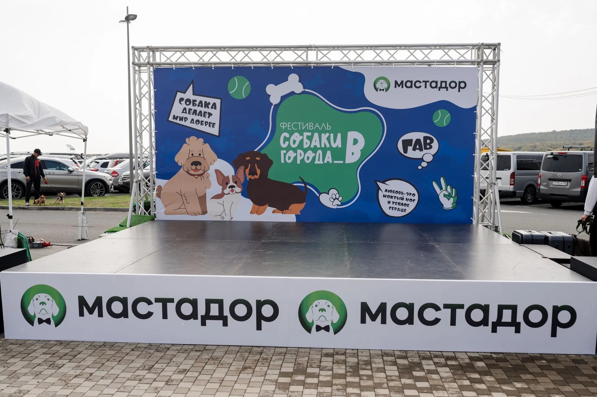 Собаки города В снова собирают друзей!